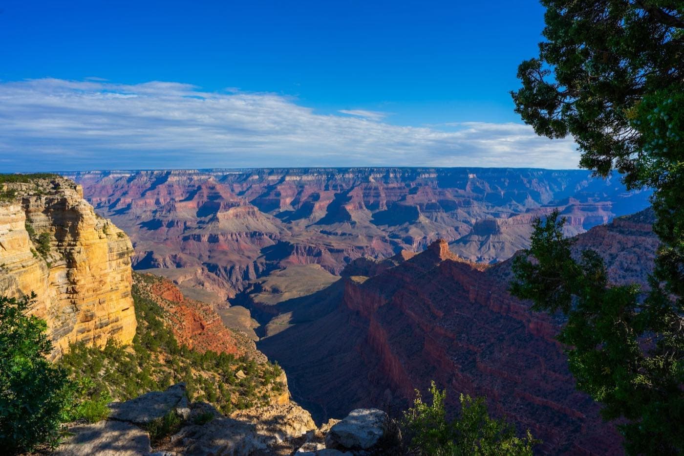 Le Grand Canyon vu depuis le South Rim, strates rouges et ocres sous un ciel bleu profond