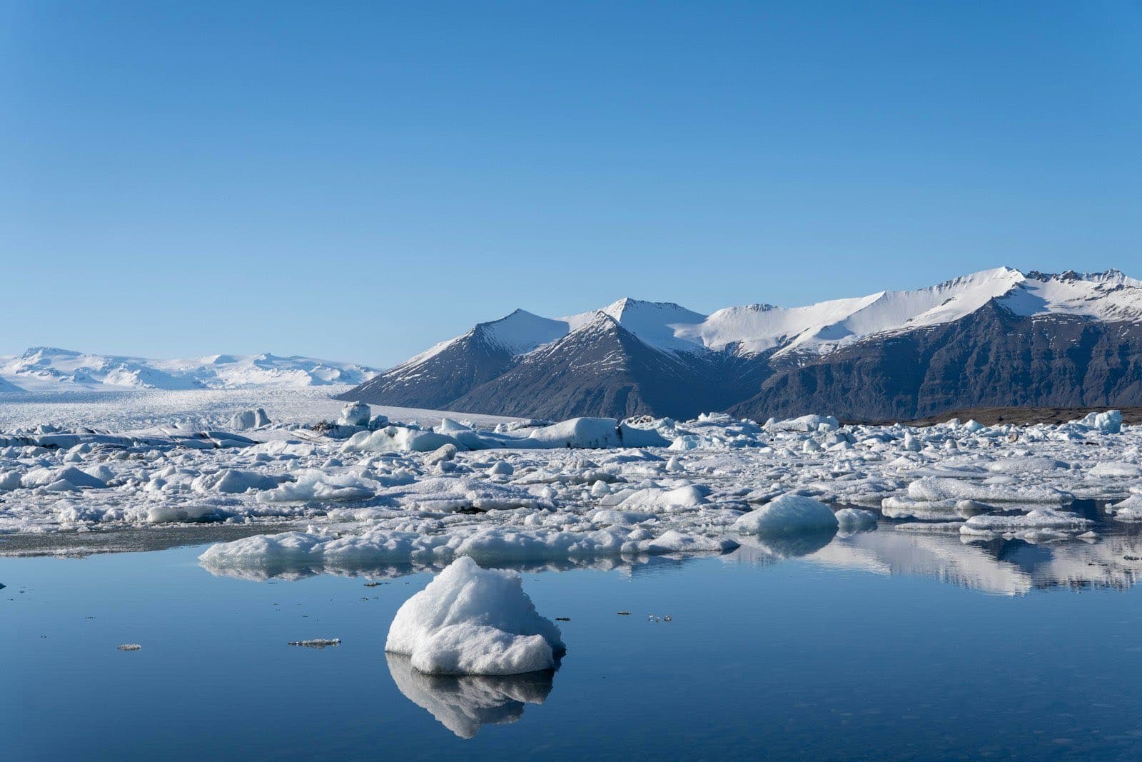 Icebergs dérivant sur la lagune glaciaire de Jökulsárlón, montagnes enneigées en toile de fond