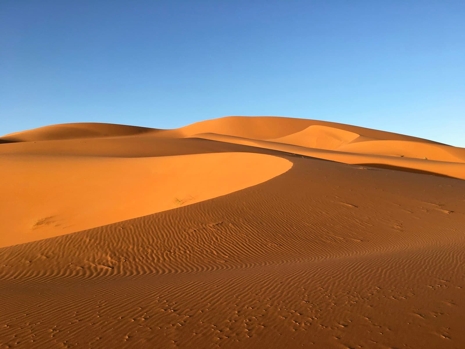 Les dunes orangées de l'erg Chebbi sous un ciel bleu, près de Merzouga