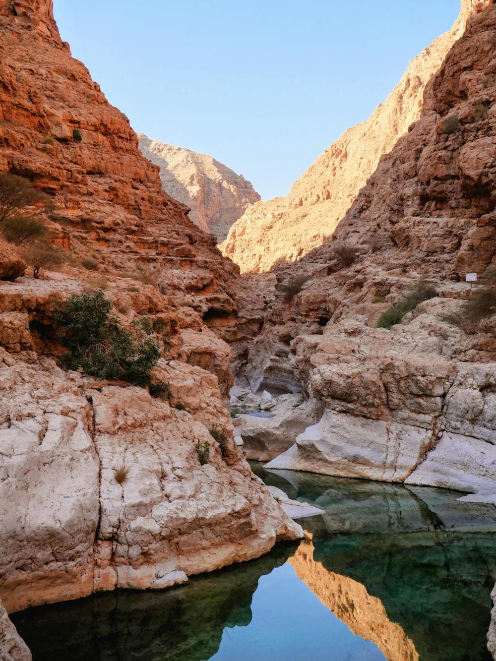 The emerald pools of Wadi Shab between the canyon's ochre walls, lit by morning sun