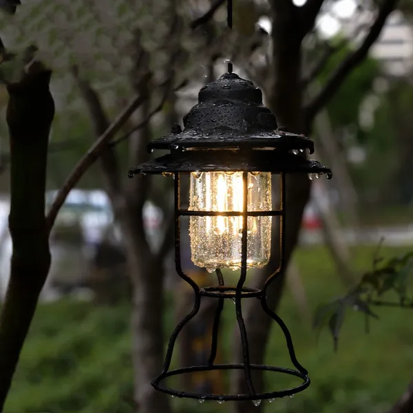 Lantern lit, hanging in a garden at dusk